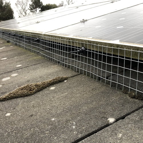 Solar Panel Bird Proofing Basildon